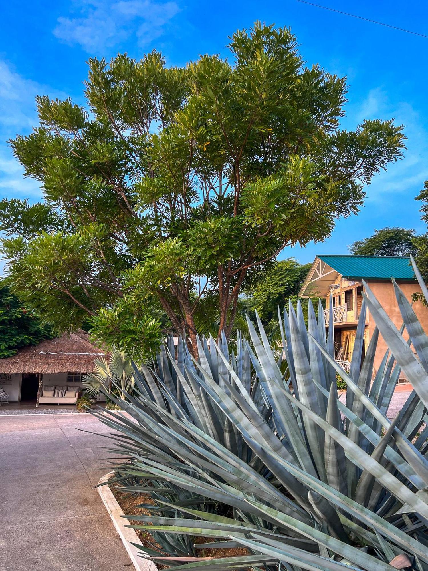 Villas El Encanto Jalpan Exteriör bild